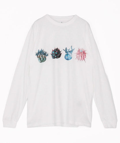 aobouzu × FREAK'S STORE 塊根長袖T恤