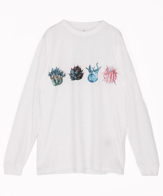 aobouzu × FREAK'S STORE 塊根長袖T恤