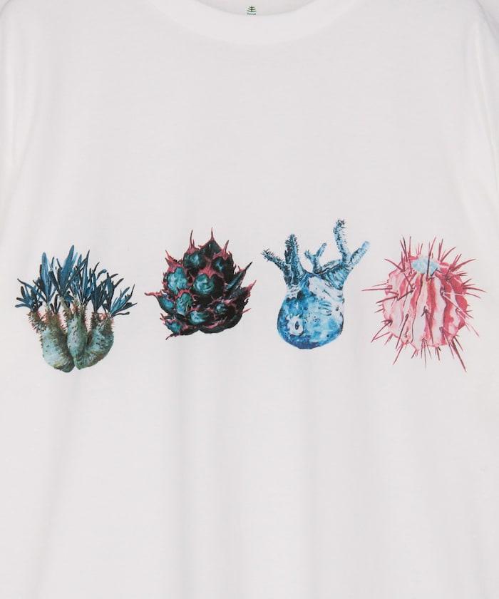 aobouzu × FREAK'S STORE 塊根長袖T恤