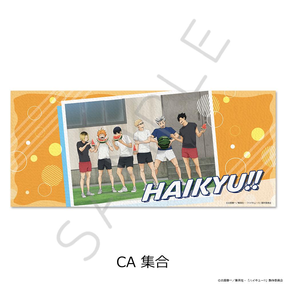 排球少年（排球少年！！） 第13彈 集合款 毛巾