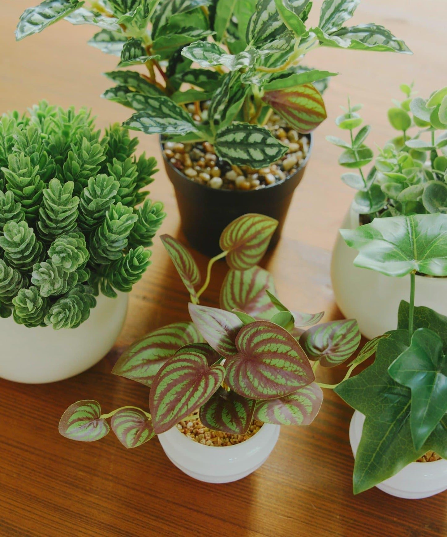 仿真綠植盆栽 豆瓣綠
