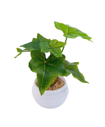 仿真綠植盆栽常春藤