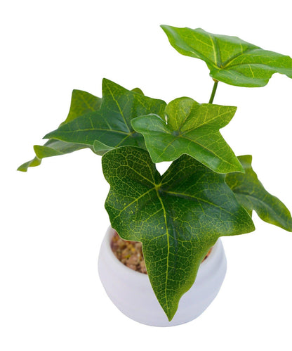 仿真綠植盆栽常春藤