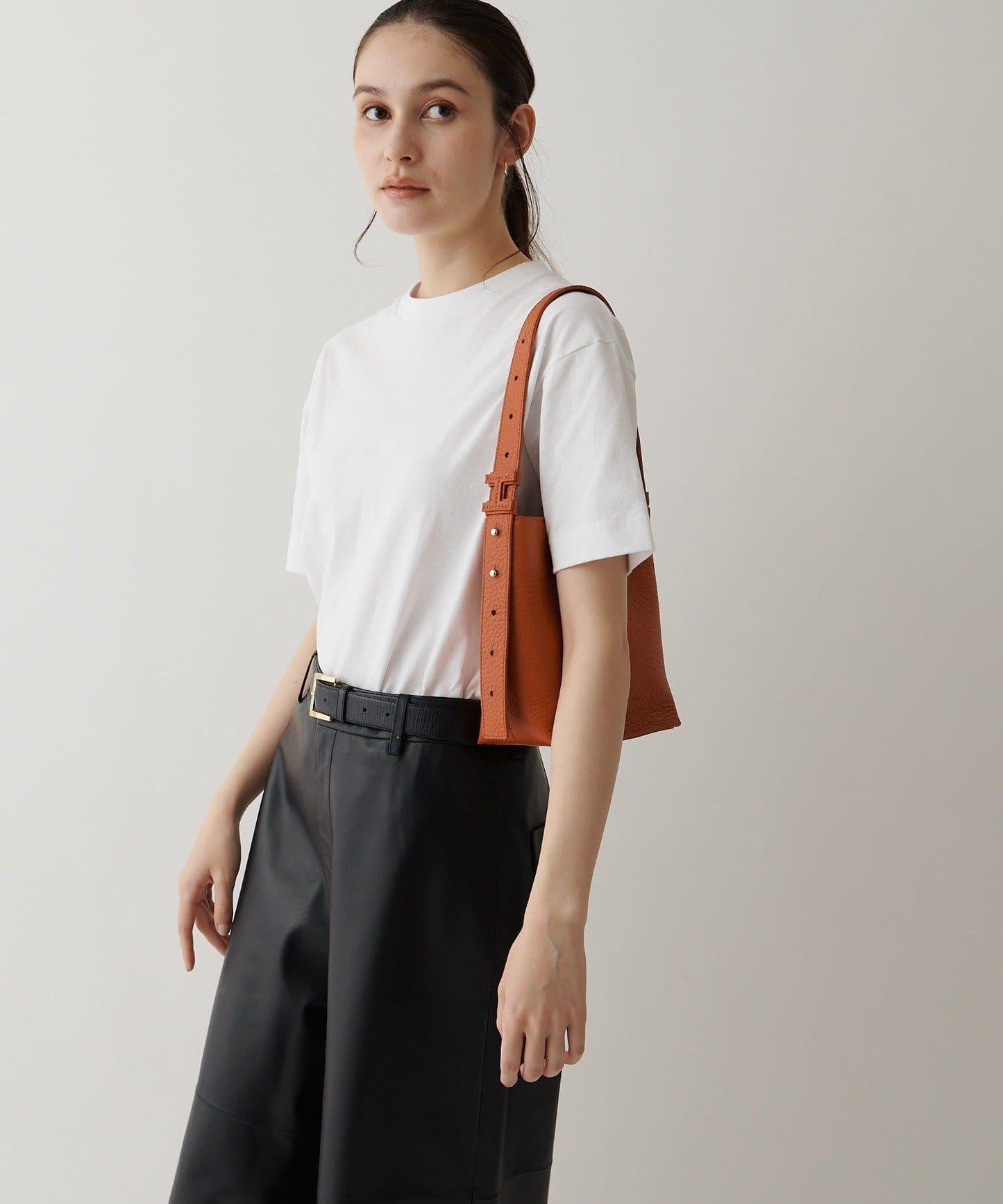 【coming soon】トッレ ALCE