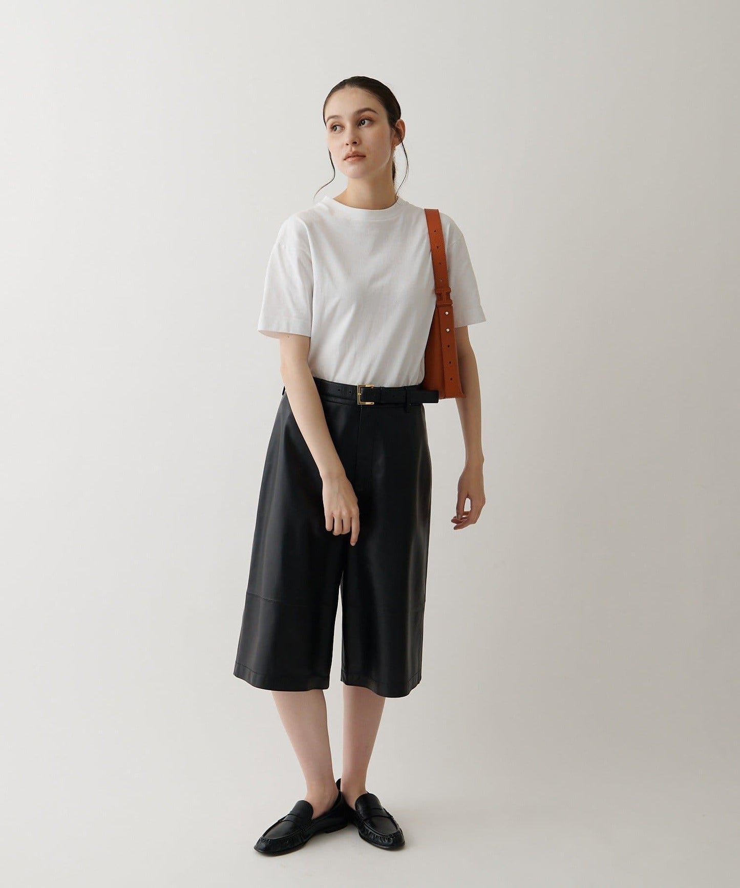 【coming soon】トッレ ALCE