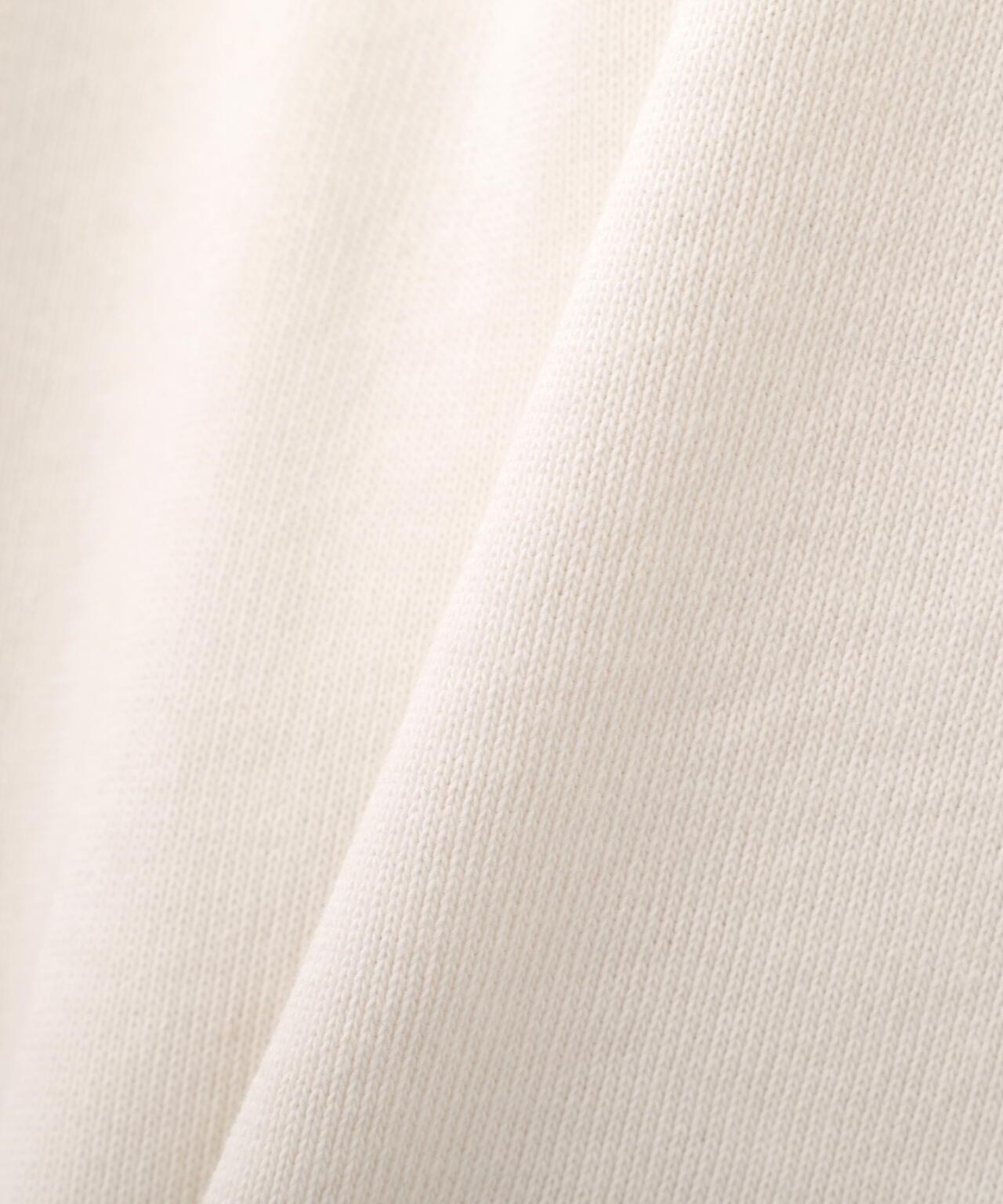 SIGNATURE VARSITY 拉鍊連帽衫