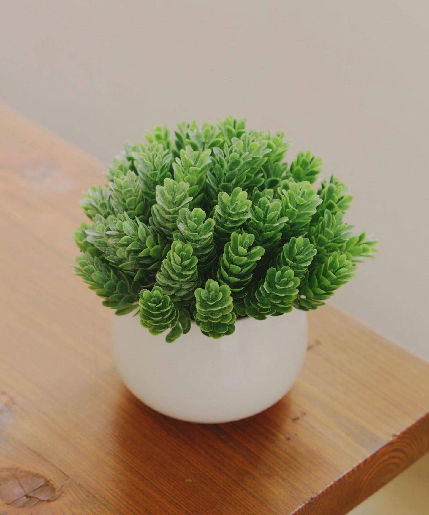 仿真綠植盆栽
