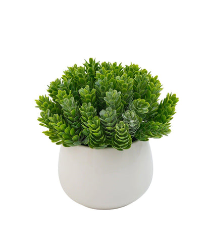 仿真綠植盆栽