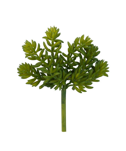 仿真多肉植物插枝