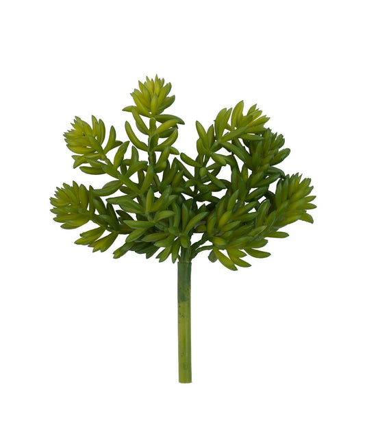 仿真多肉植物插枝