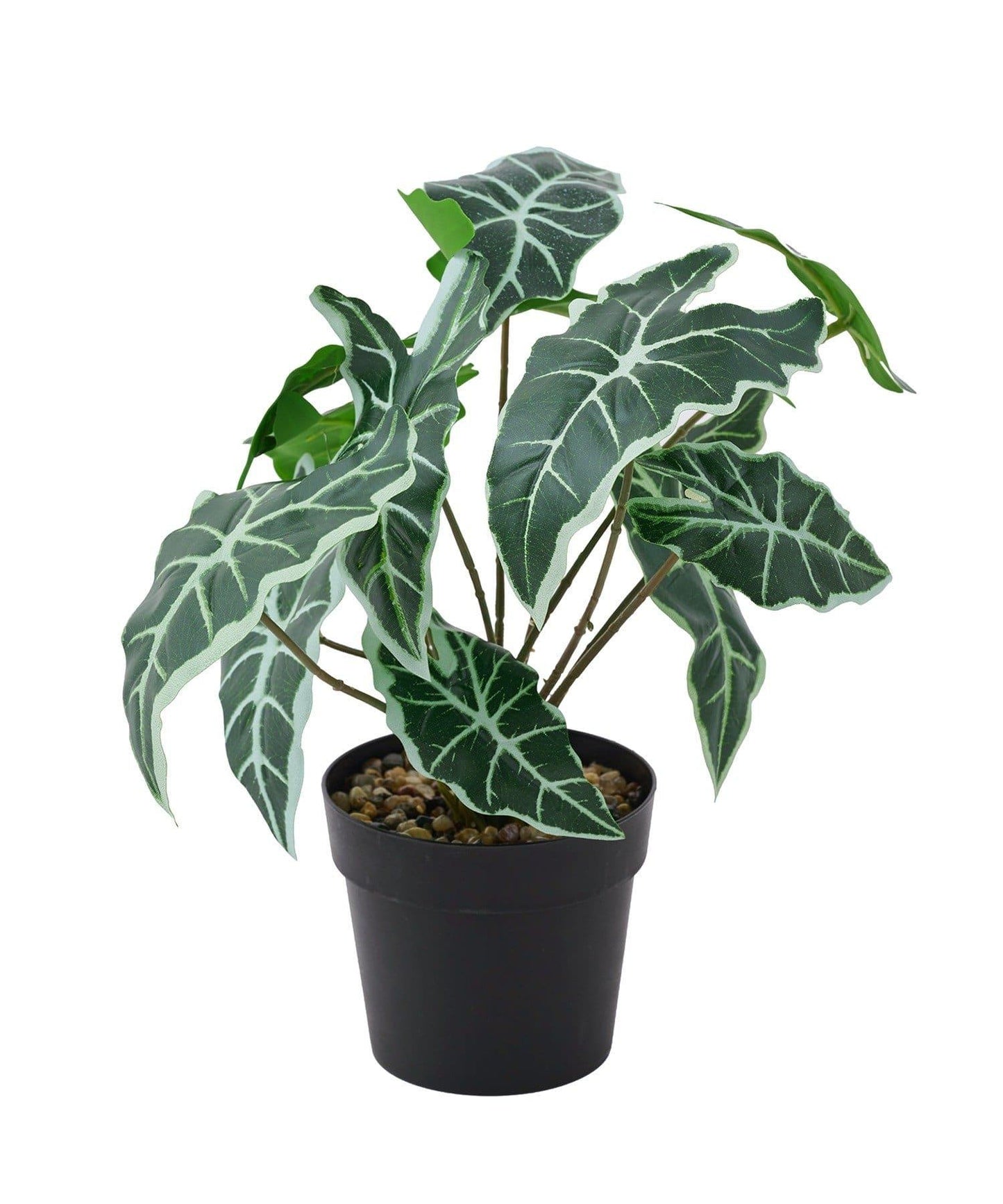 仿真綠植盆栽 海芋