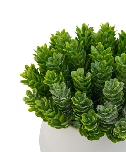 仿真綠植盆栽