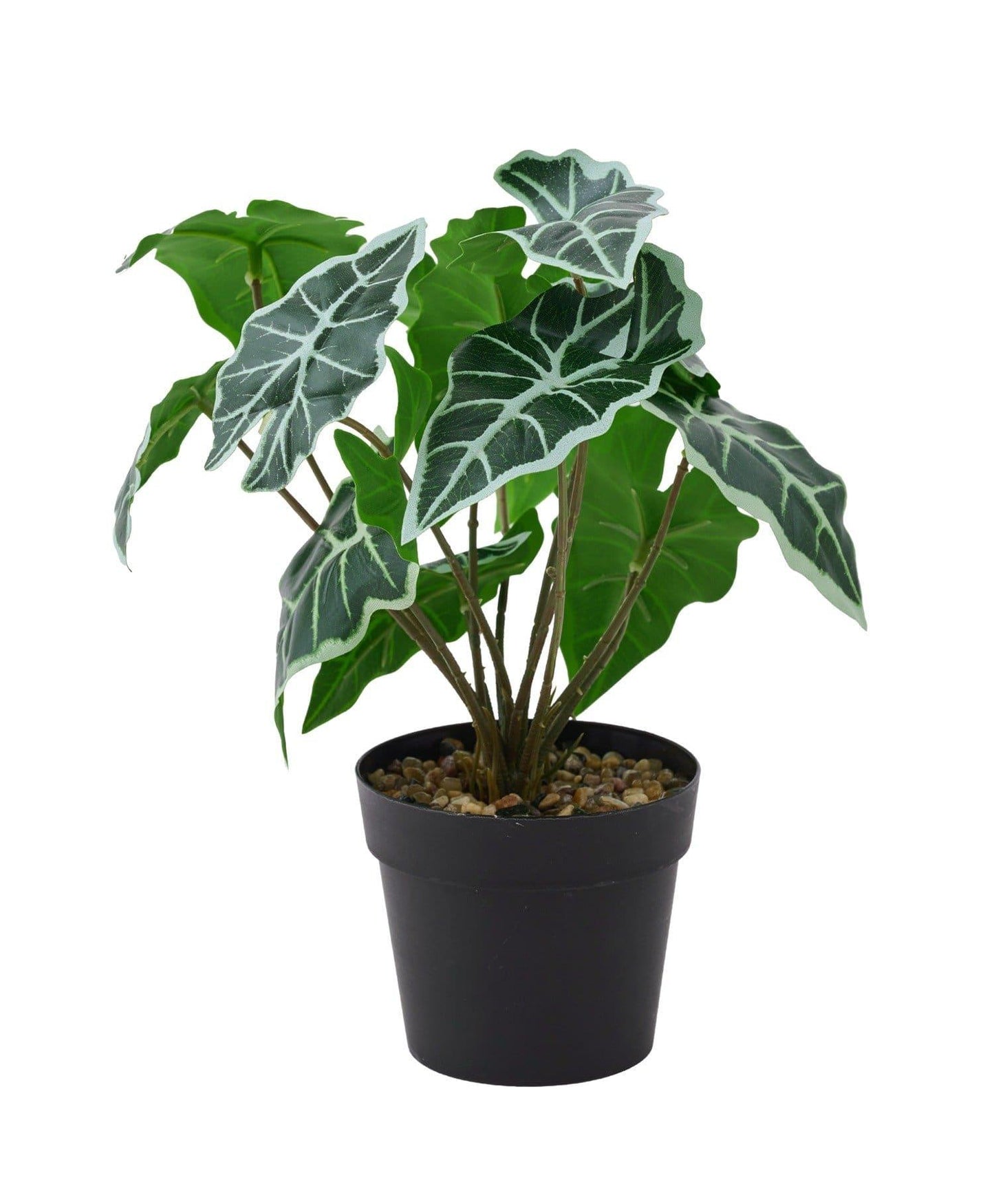 仿真綠植盆栽 海芋