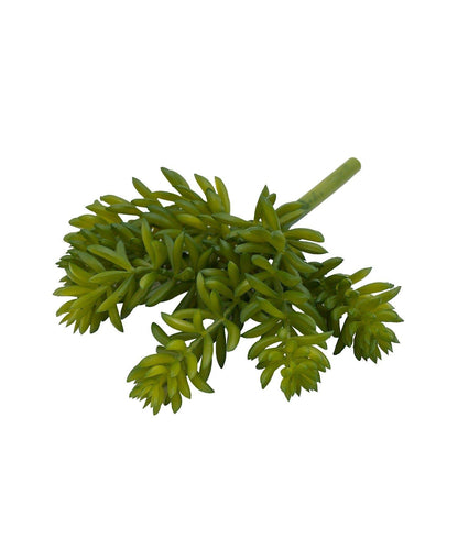 仿真多肉植物插枝