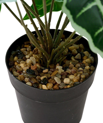 仿真綠植盆栽 海芋