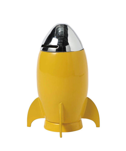 DULTON PIGGY BANK 存錢罐