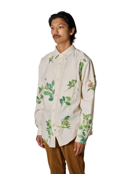 ORGANIZED B.D.SHIRT / COTTON PEACH SKIN TWILL × DEAN AIZAWA