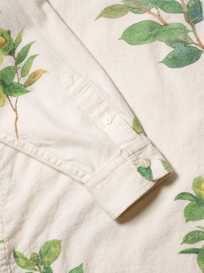 ORGANIZED B.D.SHIRT / COTTON PEACH SKIN TWILL × DEAN AIZAWA