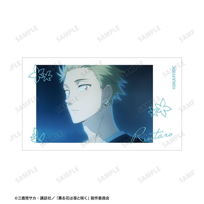 薫る花は凜と咲く 紬凜太郎&和慄薫子 場景圖Ani-Frame2枚套裝 ver.H