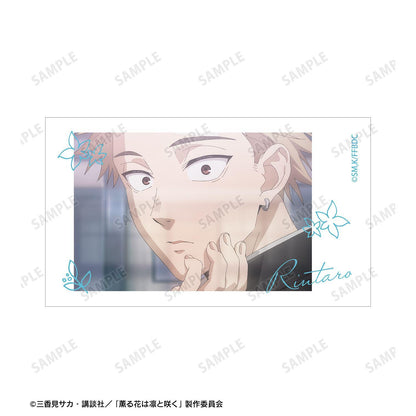 薫る花は凜と咲く_紬 凜太郎&和慄薫子 場景插畫Ani-Frame2枚套裝 ver.B