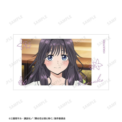 薫る花は凜と咲く（馨香之花盛開） 紬凜太郎&和慄薫子 場景插畫Ani-Frame2枚套裝 ver.A