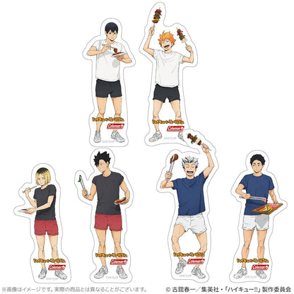 排球少年（排球少年！！） 合宿BBQ 耐水貼紙套裝 日向・影山
