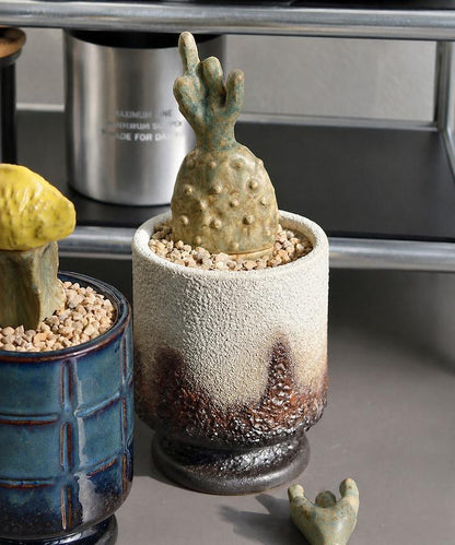 THE CACTI POT ザ カクティポット