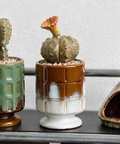 THE CACTI POT ザ カクティポット