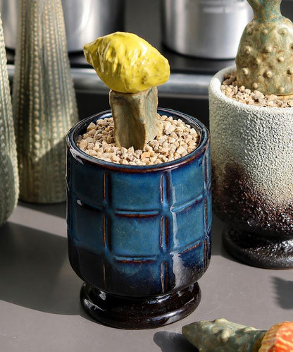 THE CACTI POT ザ カクティポット