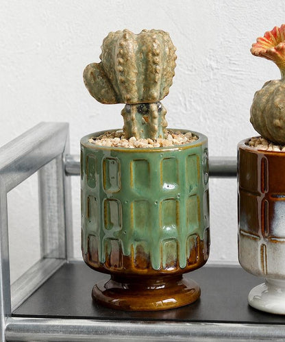 THE CACTI POT ザ カクティポット