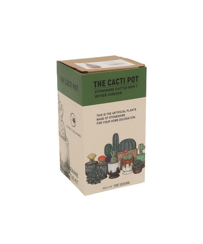 THE CACTI POT ザ カクティポット