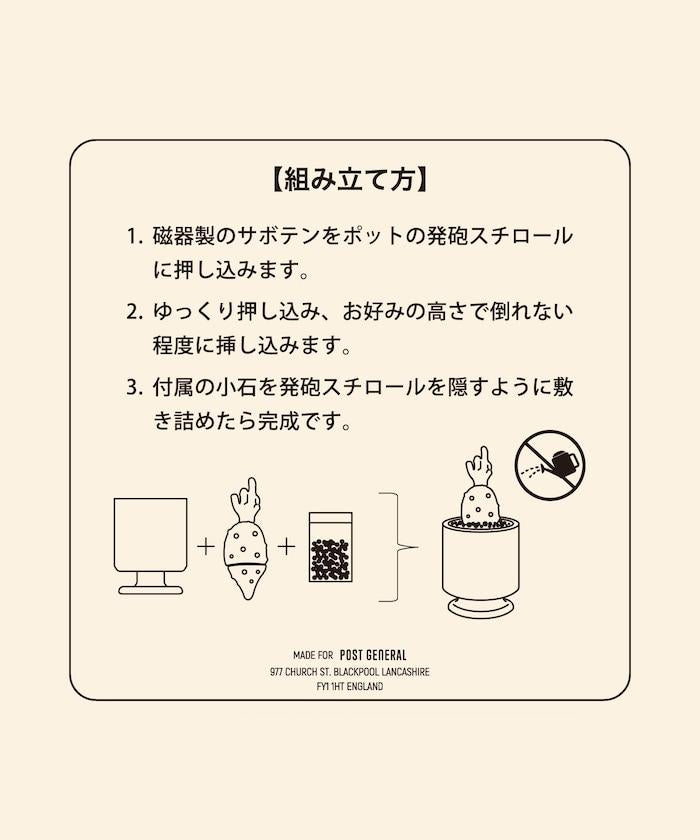 THE CACTI POT ザ カクティポット