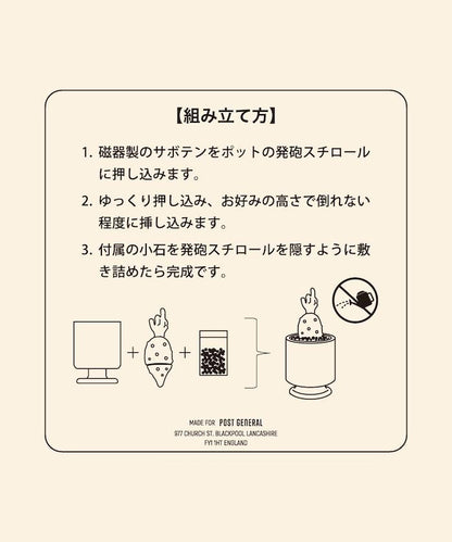 THE CACTI POT ザ カクティポット