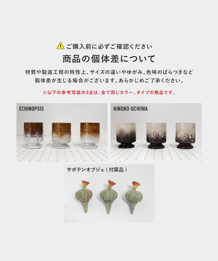 THE CACTI POT ザ カクティポット