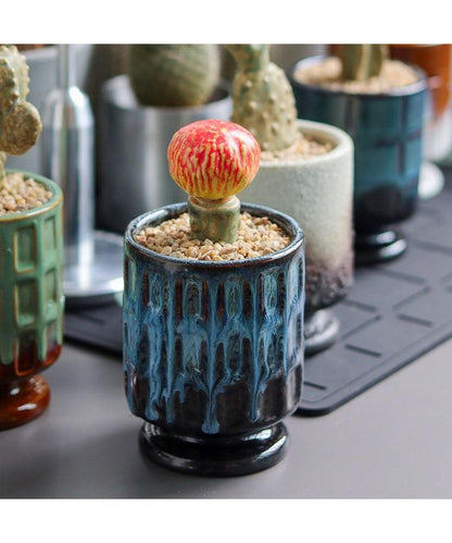 THE CACTI POT ザ カクティポット