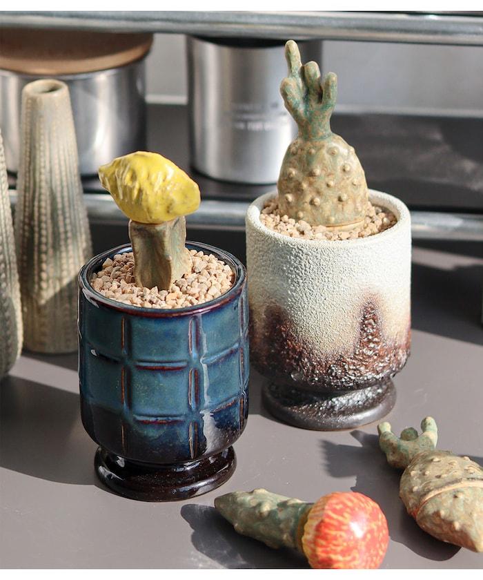 THE CACTI POT ザ カクティポット