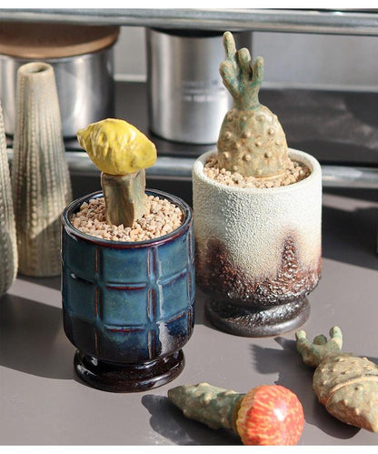 THE CACTI POT ザ カクティポット