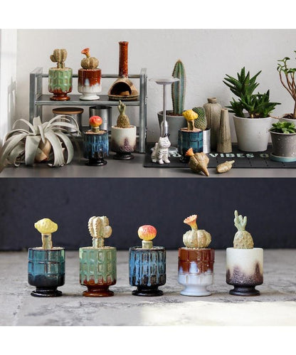 THE CACTI POT ザ カクティポット