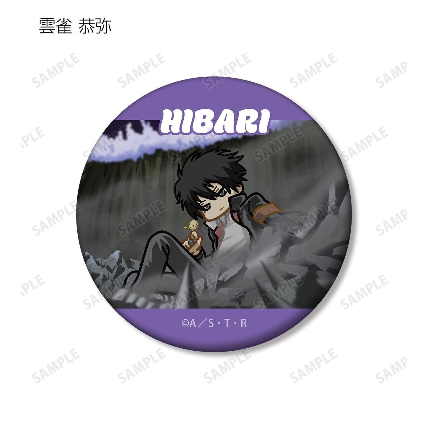家庭教師ヒットマンREBORN!（家庭教師HITMAN REBORN!） ゆるコマ系列 亞光徽章 10個裝整盒