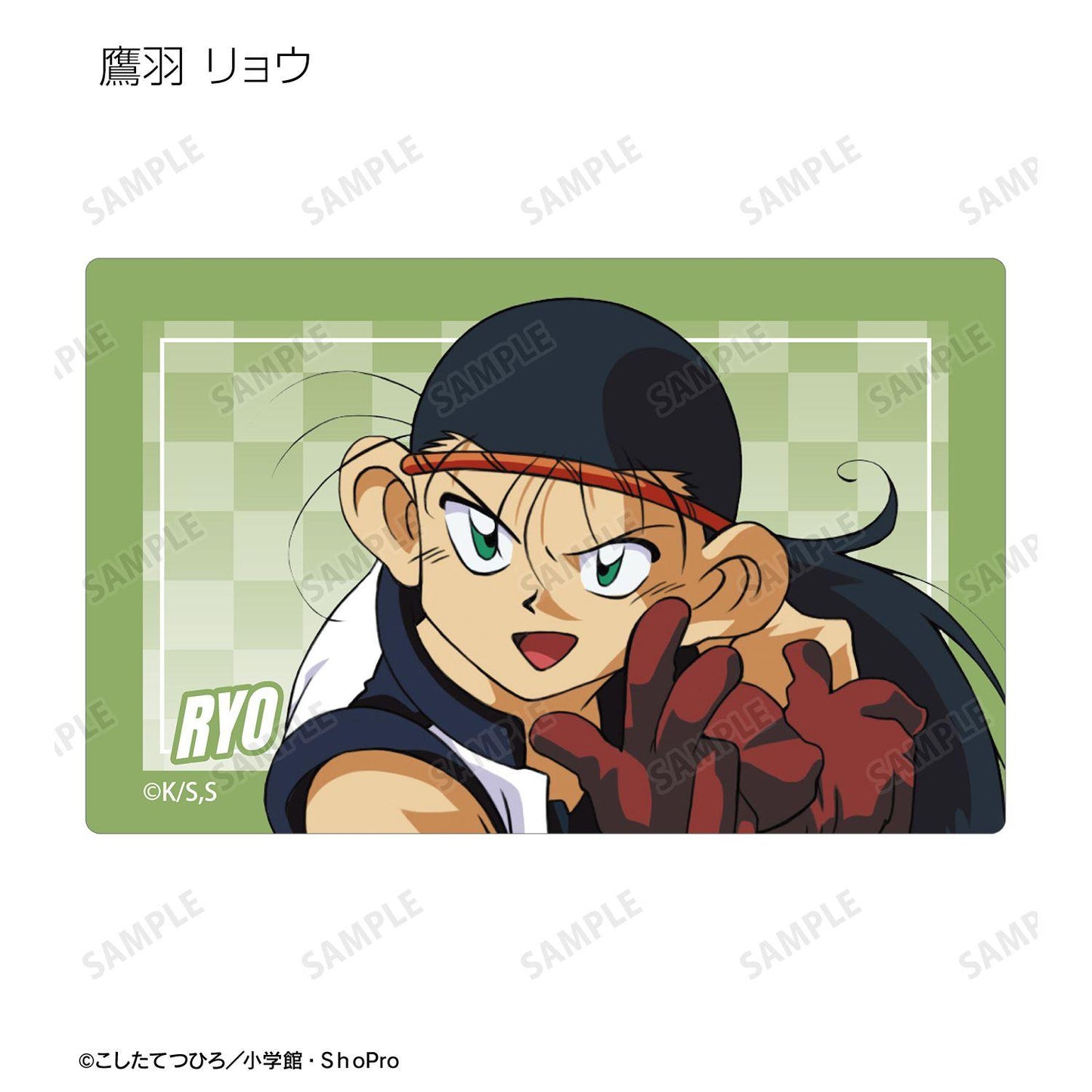 爆走兄弟レッツ＆ゴー!!（四驅兄弟） 集換式卡貼 完整盒裝 10包入