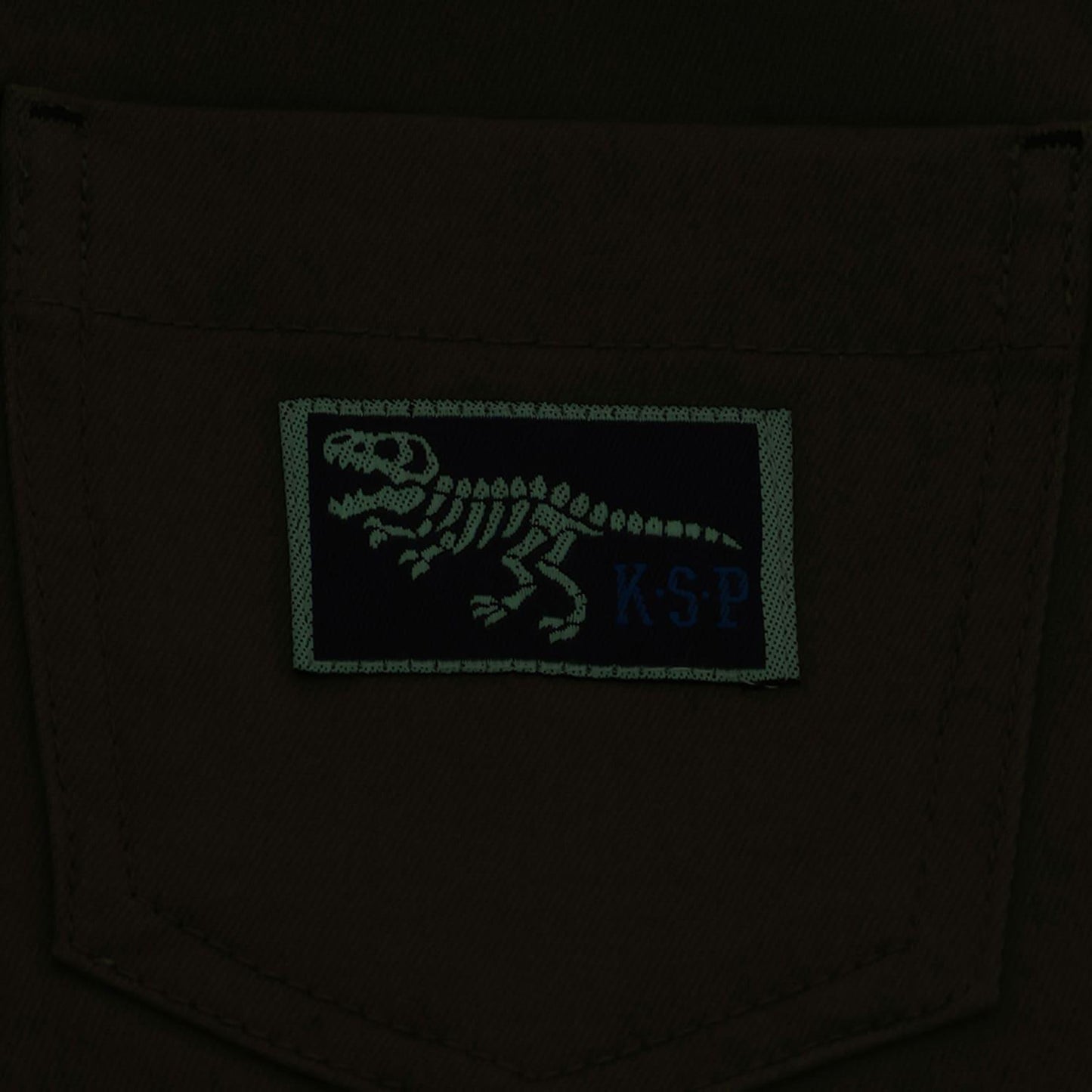 恐龍刺繡長款闊腿直筒褲