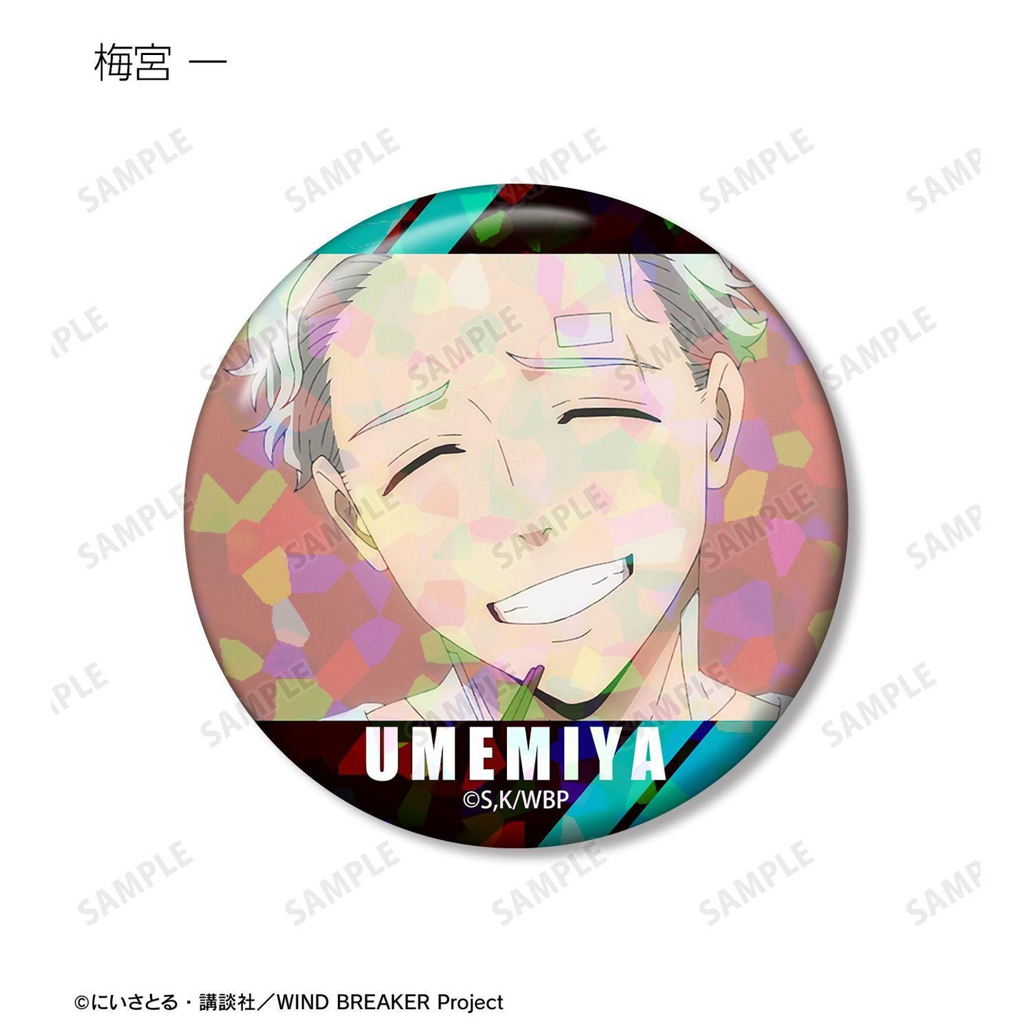 防風少年（防風少年） 場景寫實全息徽章 (單位/完整BOX/12包入)