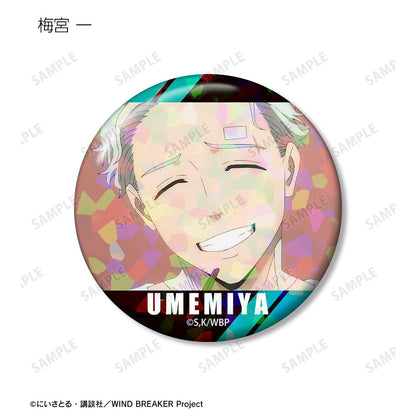 防風少年（防風少年） 場景寫實全息徽章 (單位/完整BOX/12包入)