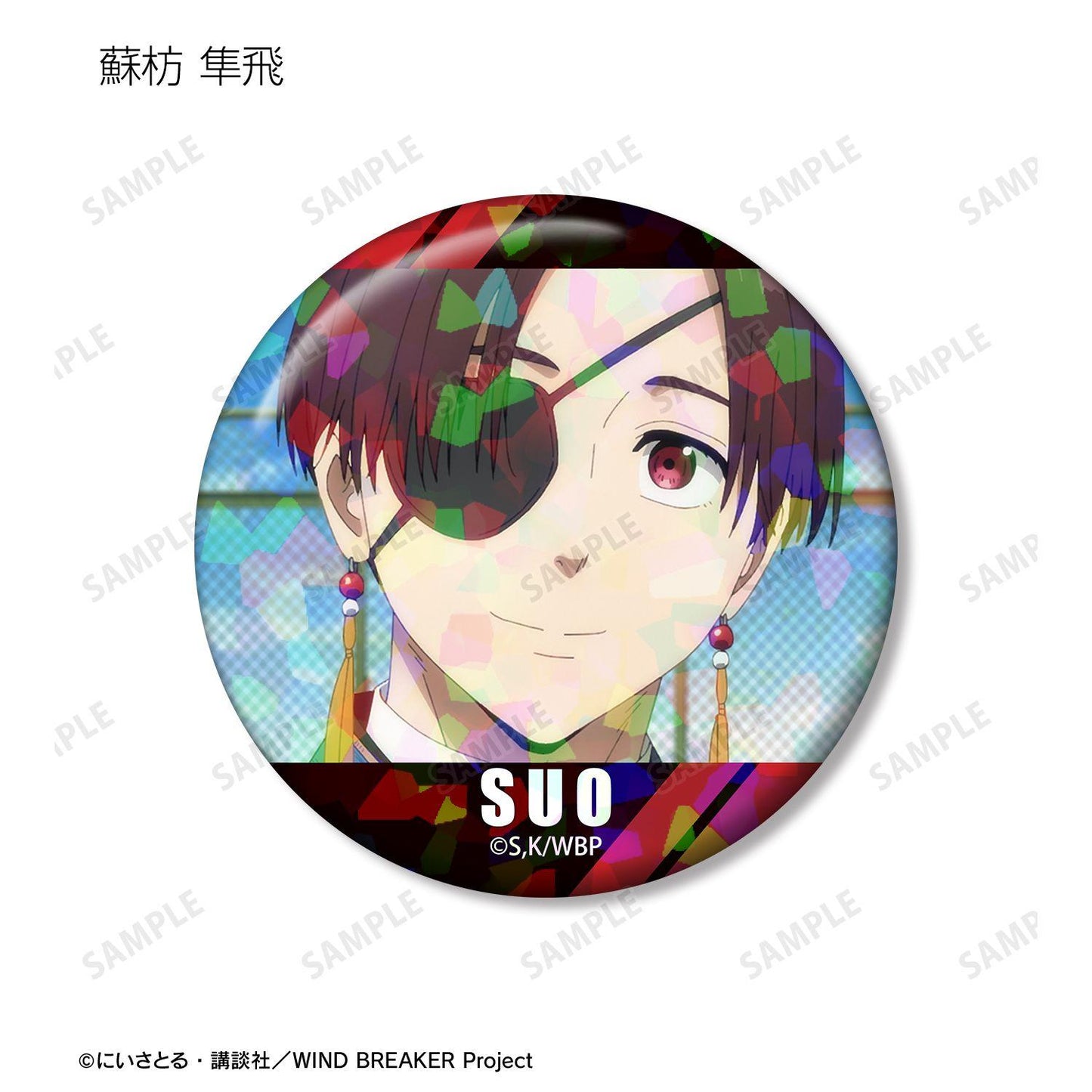 防風少年（防風少年） 場景寫實全息徽章 (單位/完整BOX/12包入)