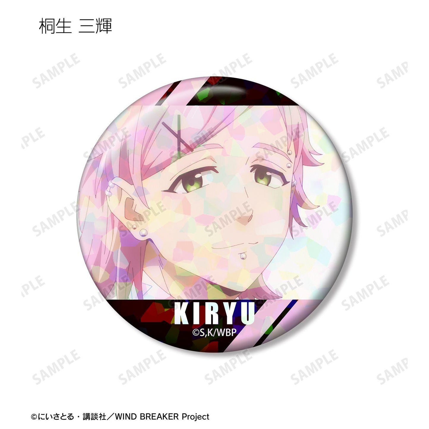 防風少年（防風少年） 場景寫實全息徽章 (單位/完整BOX/12包入)