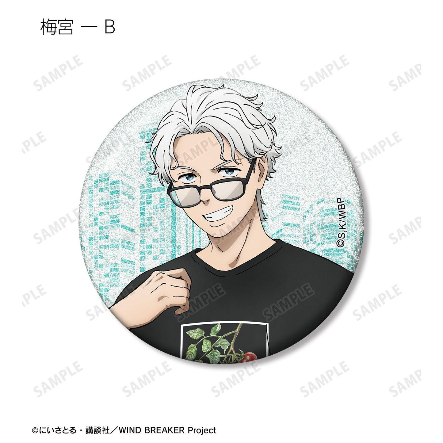 防風少年（防風少年） 描き下ろし 夏服ver. 閃光徽章（10個裝）