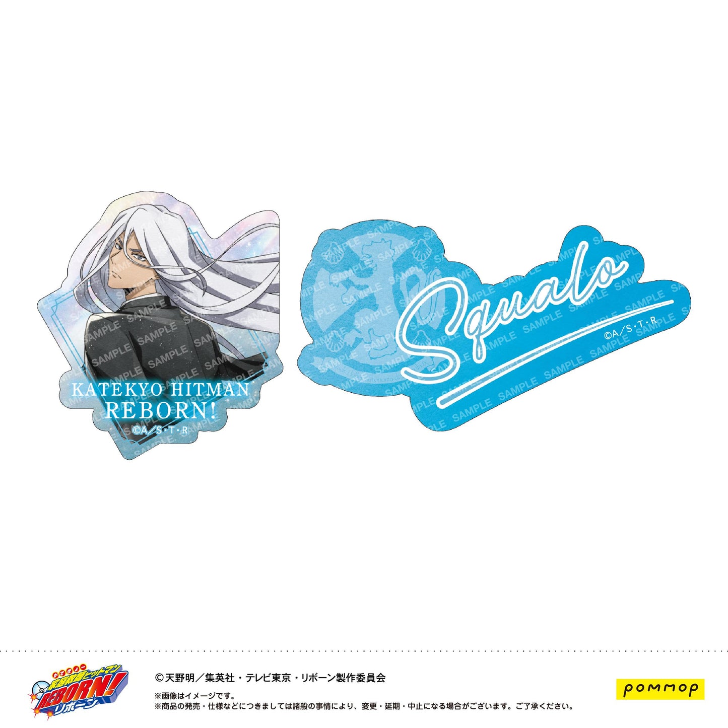 家庭教師ヒットマンREBORN!（家庭教師HITMAN REBORN!） 風シリーズ スペルビ・スクアーロ(10年後) 異形貼紙套裝
