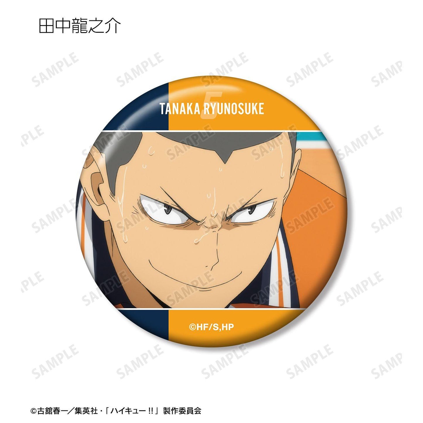 ハイキュー!!（排球少年） トレーディング場面寫缶バッジ 19パック入り BOX