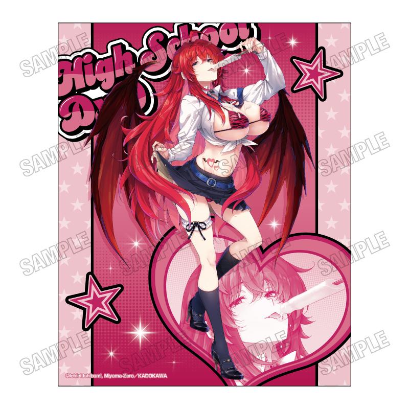 ハイスクールD×D（惡魔高校D×D） アメスク系列 描き下ろしキャンバスアート Rias Gremory
