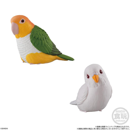 てのりフレンズ_【食玩】てのりフレンズ13【1BOX／12個入り】